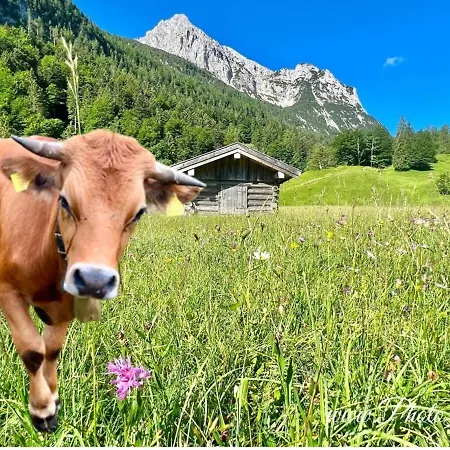 Fewo Marlies Mittenwald